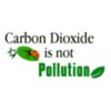 CO2NP